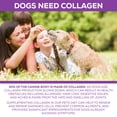 thumbnail image 4 of 100% Collagen Protein for Dogs | Hip & Joint | Allergy Relief | Digestive Aid | Overall Health | 8 Lb, 4 of 9