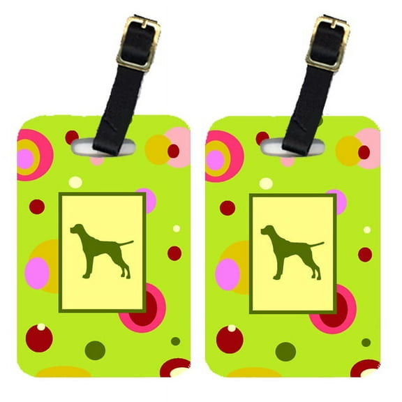 Pair of 2 Pointer Luggage Tags