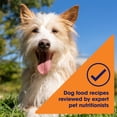 thumbnail image 6 of Nature's Recipe Grain Free Chicken Recipe in Savory Broth Wet Dog Food, 2.75 oz Cup, 6 of 12