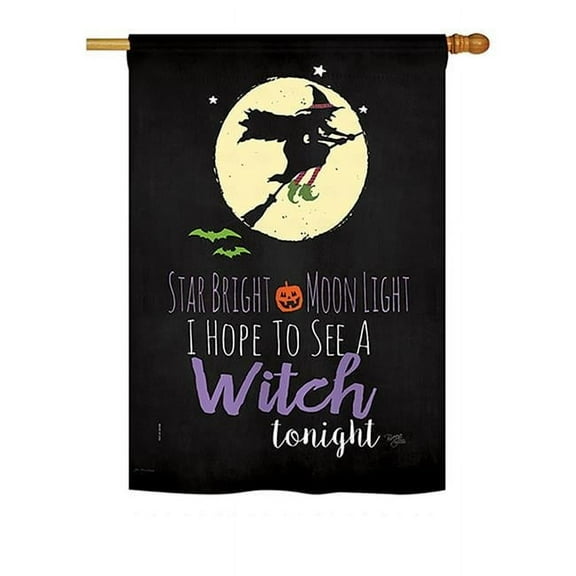 Breeze Decor BD-HO-H-112073-IP-BO-DS02-US 28 x 40 in. Seasonal Halloween Impressions Decorative Vertical House Flag - Star Bright Fall