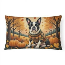 16 x 12 in. Unisex Boston Terrier Fall Fabric Decorative Pillow