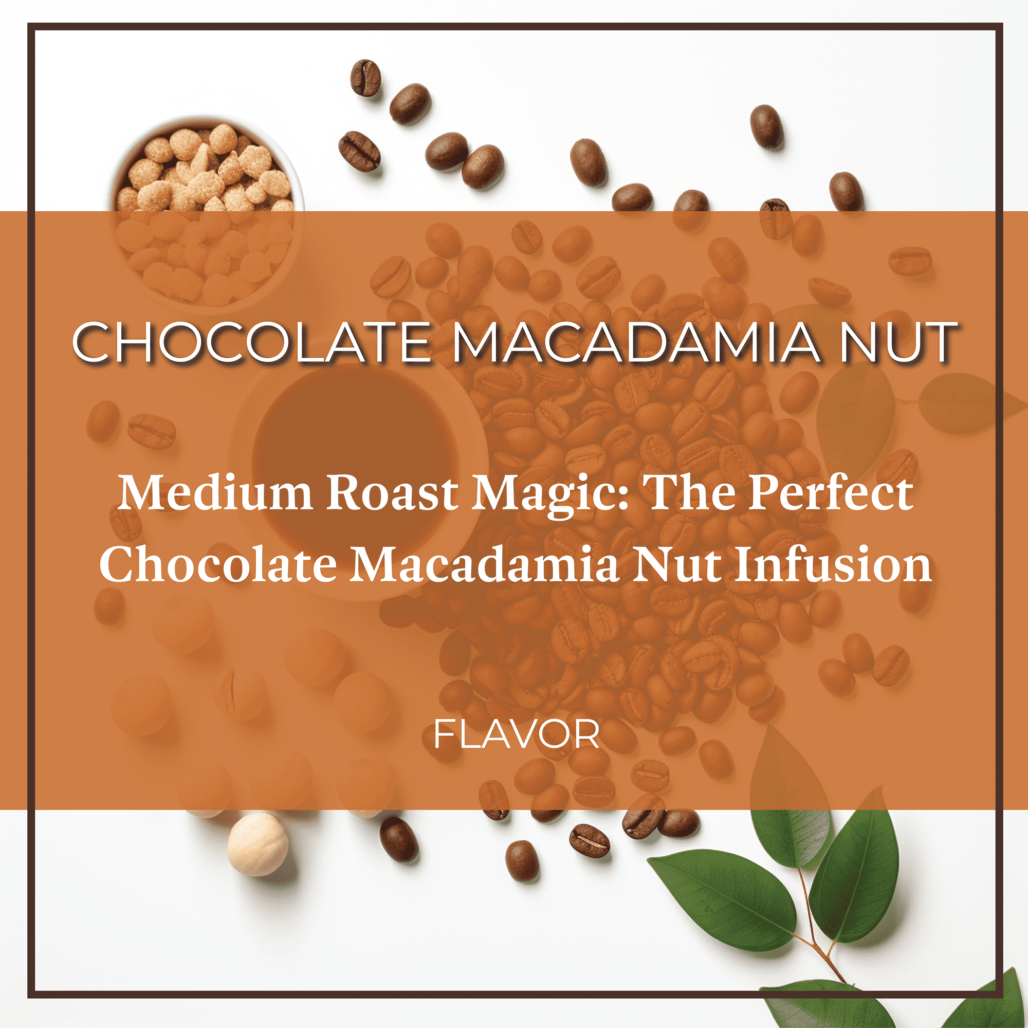 San Diego Coffee Chocolate Macadamia Nut, Medium Roast, Whole Bean Coffee, 16-Ounce Bag