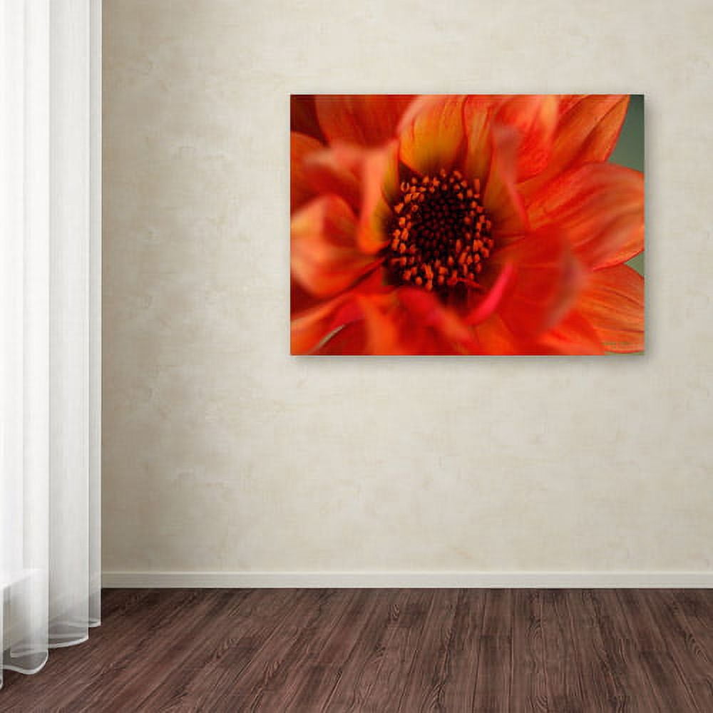 Trademark Fine Art "Fiery Dahlia" Canvas Art by Kathy Yates