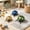 Multicolor 3Pcs, variant on Realistic Interactive Insect Toy Set Educational Moving Beetle For Kids Outdoor,Blue