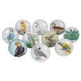 thumbnail image 1 of IBA Indianbeautifulart Multicolor Mix Bird Round 2 Inches Ceramic Door Knobs For Dresser Printed Cabinet Drawers Pull, 1 of 1