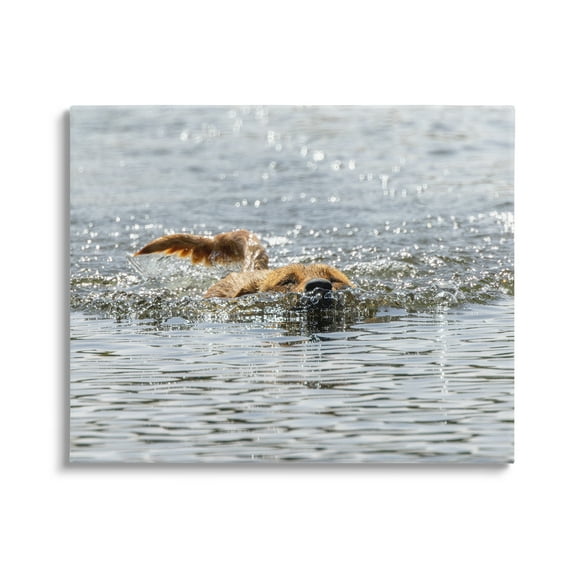 Stupell Industries Dog Swimming in Ocean Animals & Insects Photography Gallery Wrapped Canvas Art Print Wall Art, 20 x 16