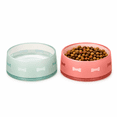 thumbnail image 4 of Felli Duo World Pet Non-Slip SAN-Plastic Food & Water Bowl Set with 2 Pet Bowls for Dogs, Mint & Blush Bone Accent Design (2 Pack), 4 of 6