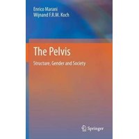 Pelvis