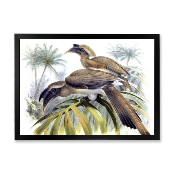 Designart 'Ancient Australian Birds XIV' Traditional Framed Art Print