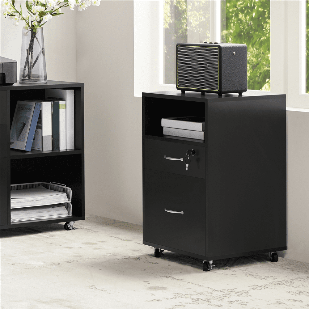 Alden Design 2- Drawer Wooden Vintage Mobile File Cabinet for Home and Office, Black