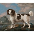 thumbnail image 3 of George Stubbs 17x15 Black Modern Framed Museum Art Print Titled - Brown and White Norfolk or Water Spaniel (1778), 3 of 5
