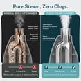 thumbnail image 6 of STEAM AND GO Demineralized Water Floor Cleaner Solution for Steam Mops, Tropical Bloom, 32 fl oz, 6-Pack, 6 of 10