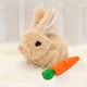 thumbnail image 2 of Juguete Conejito Saltador Eléctrico Peluche Pascua para Con Zanahoria (marrón Claro), 2 of 9