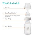 thumbnail image 2 of EVENFLO FEEDING Balance + Wide Neck Baby Bottles, 3x9oz Bottles, 2 of 6