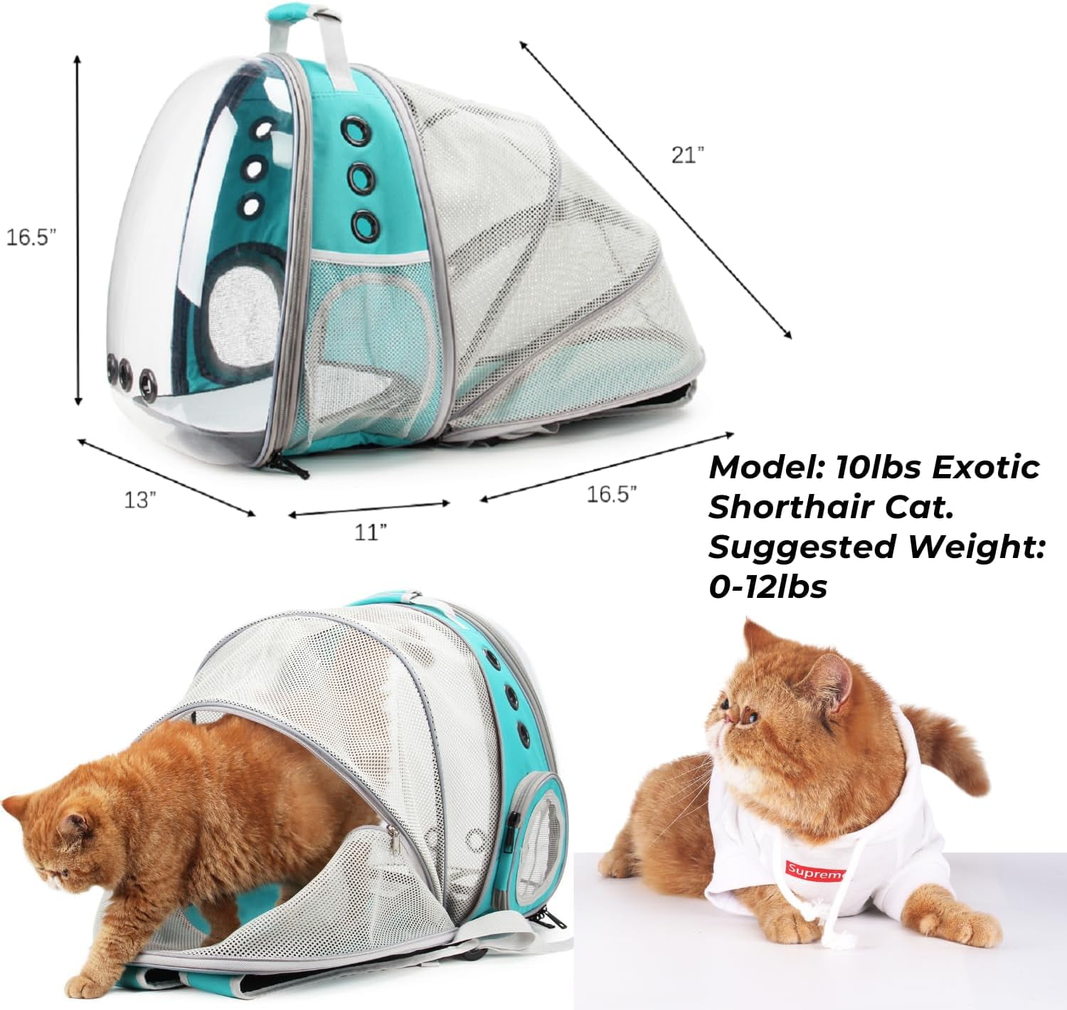 Cat Carrier Backpack, Expandable Bubble Pet Carrier for Cats and Small Dogs, Airline Approved Travel Backpack for Hiking, Walking & Outdoor Adventures - Supports up to 16 lbs