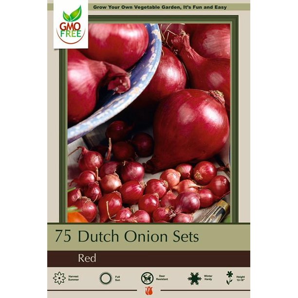 Red Onion Sets 75 Bulbs Mild Flavor