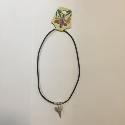 Hawaii Necklace Shark Tooth