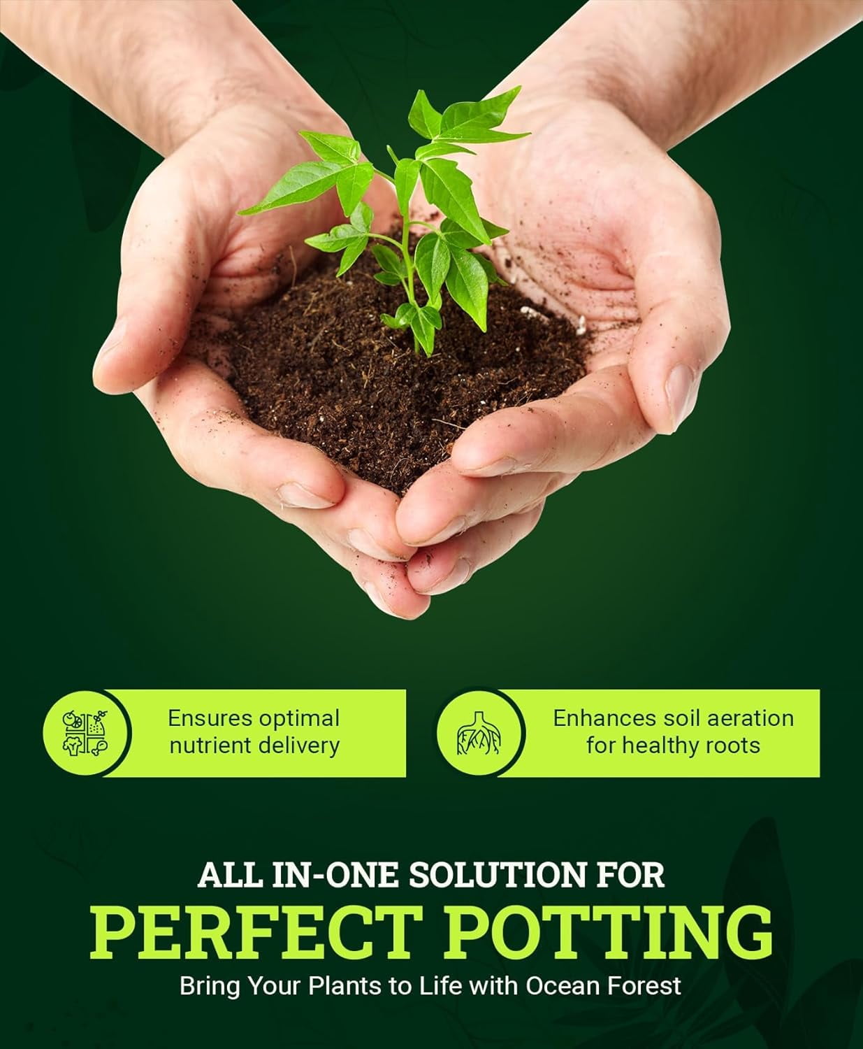 Ocean Forest Potting Soil, 12qt – Light, Aerated Texture, Designed for All Container Plants – pH Adjusted for Optimal Nutrient Uptake, Effectively Retains Moisture (12 Quart (3 Pack))