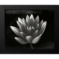 thumbnail image 2 of Geyman, Vitaly 14x12 Black Modern Framed Museum Art Print Titled - Glowing Lotus II, 2 of 5