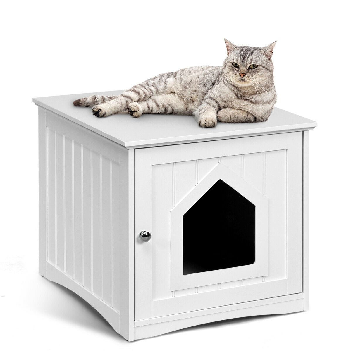 outdoor multi cat house