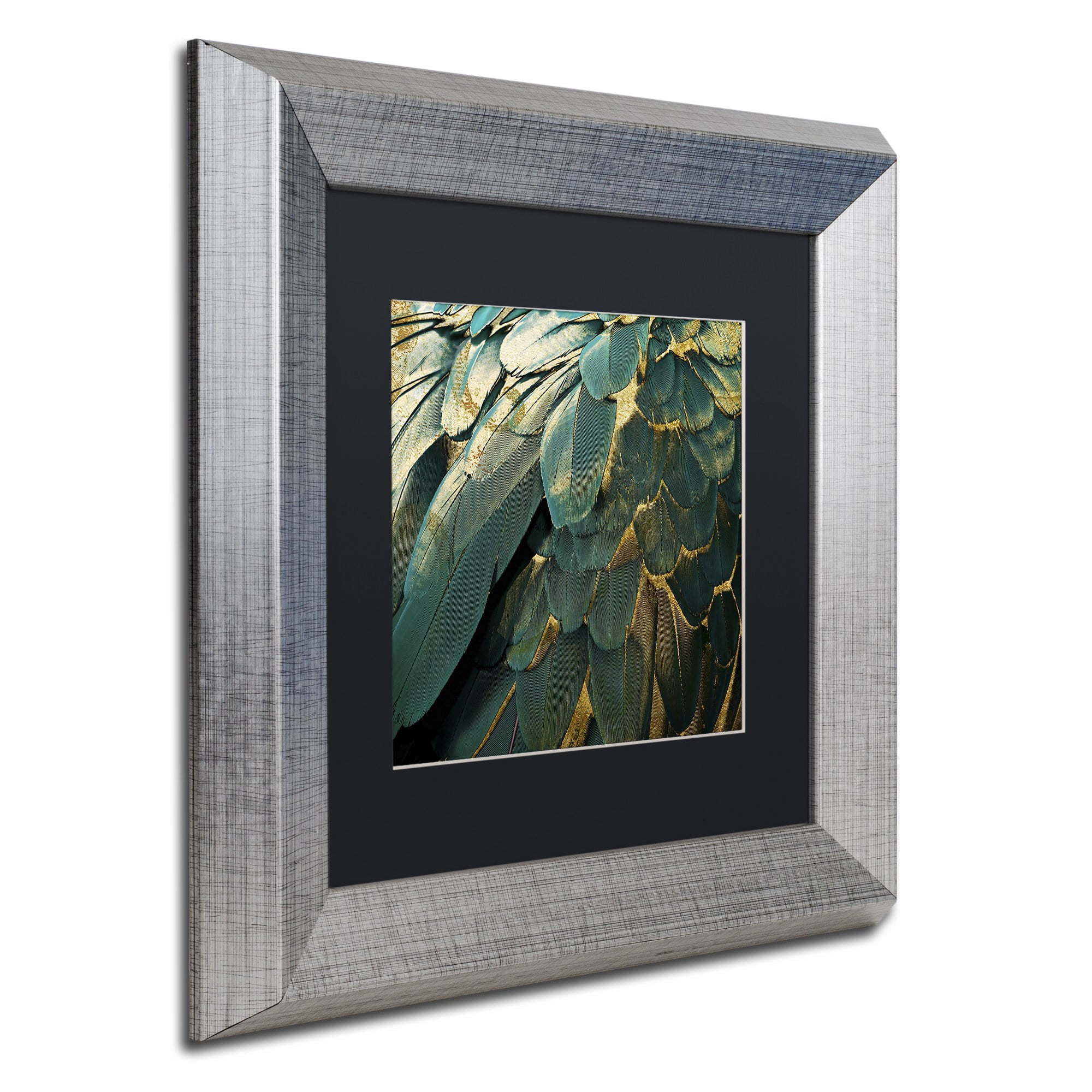 Trademark Fine Art "Feather Glitter" Canvas Art by Color Bakery, Black Matte, Silver Frame