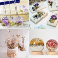 thumbnail image 5 of Unique Bargains Fleurs Séchées Naturelles Multiples Colorées Véritables Fleurs Séchées Pressées Plante Violet Pâle, 5 of 5