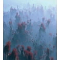 thumbnail image 3 of Mystic Duvet Cover Set, Aerial of Mystic Mountain Landscape with Autumn Trees in the Mist Wilderness Image, Decorative 3 Piece Bedding Set with 2 Pillow Shams, Queen Size, Grey Orange, by Ambesonne, 3 of 3