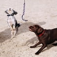 thumbnail image 1 of OULII Durable Silver Extendable Pet Teaser Pole for Dog Obedience and Fitness, 1 of 4