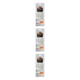 thumbnail image 1 of Kit de pinceles para acuarela Bearachild 6 unids/set de diferentes formas pelo de nailon mango de madera, 1 of 6