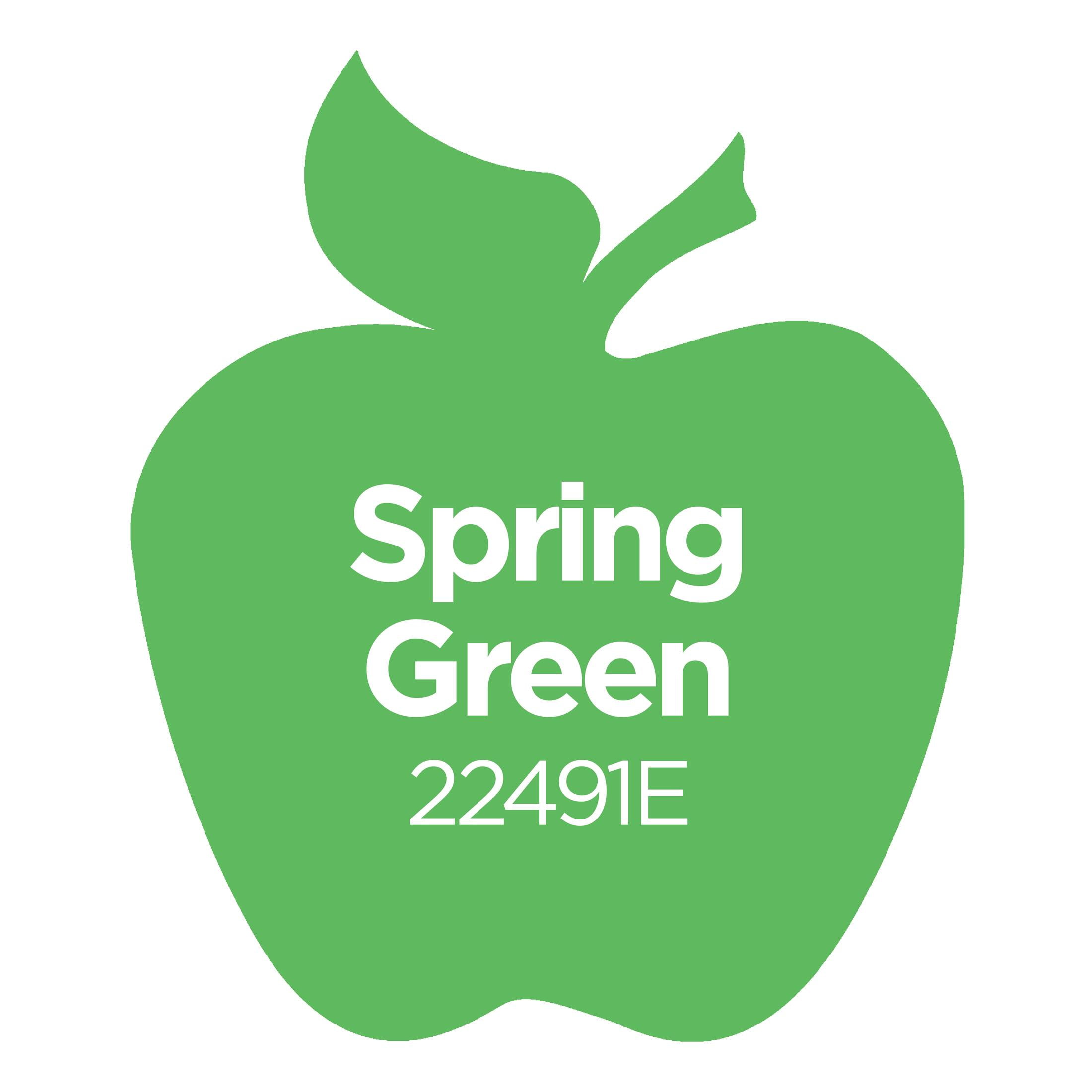 (2 pack) Apple Barrel Acrylic Craft Paint, Matte Finish, Spring Green, 16 fl oz