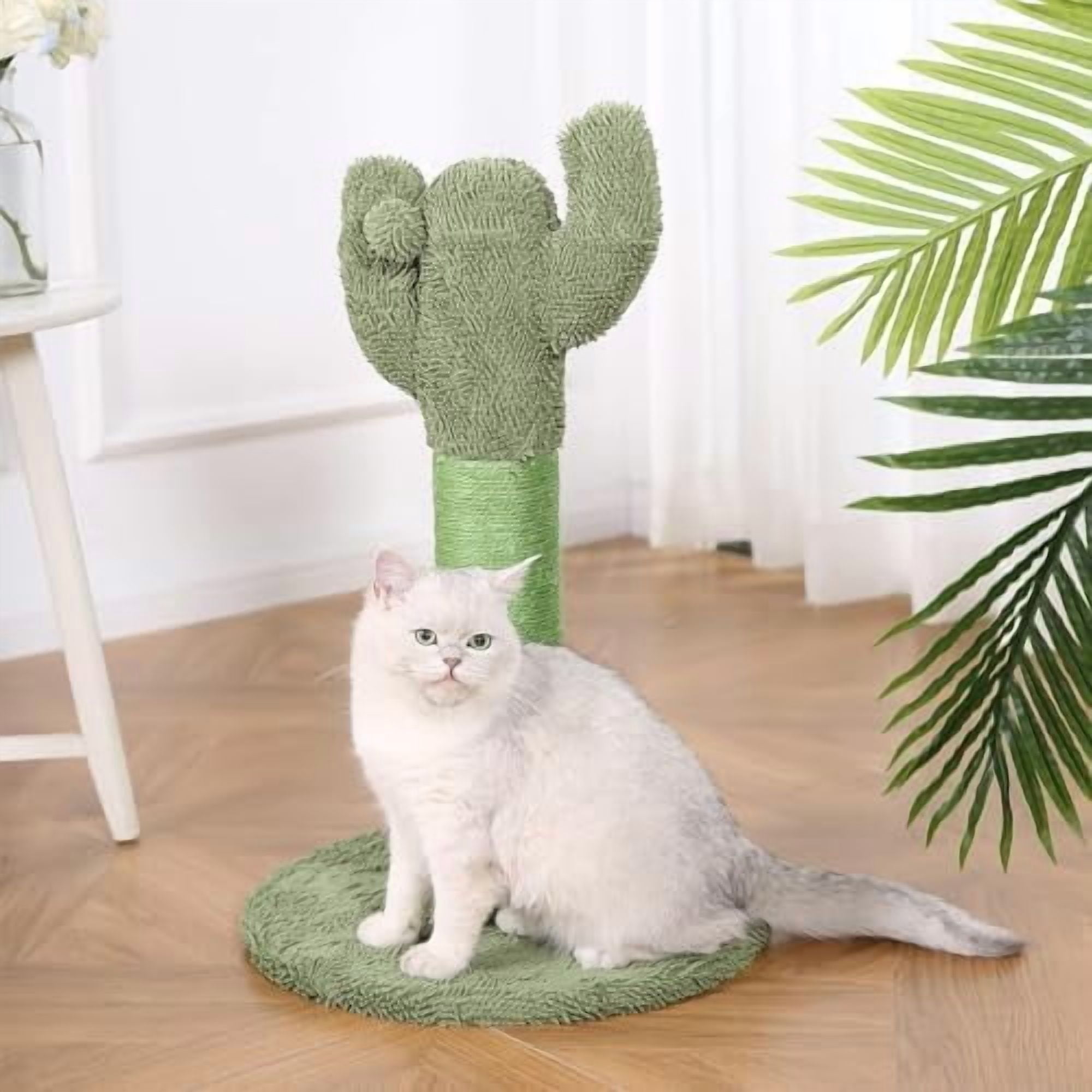 Basics Cat Scratching Post, Indoor Cactus with Natural Sisal for Kittens with Dangling Ball Toy, Medium, 25.6"H, Green