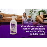 Folex Professional Carpet Cleaner Spray 34 oz Spot Cleaner for Carpet and Upholstery
