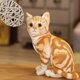 thumbnail image 1 of Fiudx Ofertas Relámpago 27Cm Lindos Gatos De Simulación Juguetes De Peluche Muñecos Suaves Rellenos Regalos De Decoración Del Hogar, 1 of 3