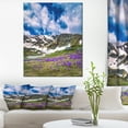 thumbnail image 1 of Spring Blooming Crocus Flowers - Landscape Canvas Art Print, 1 of 3