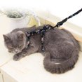 thumbnail image 4 of Collar tipo chaleco ajustable con diseño floral y correa para mayor seguridad y estilo. Juego de arnés para gatos pequeños, 4 of 8