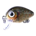 thumbnail image 3 of Juego de Señuelos de Pesca Soidarity 10 Piezas Insectos Surtidos, 3 of 6