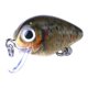 thumbnail image 2 of Advancent Juego de Señuelos de Pesca Duros, 10 Piezas, Insectos Surtidos, Kit de Señuelos de Pesca para lubina, Crankbait Duro para Agua Dulce Pescar, 2 of 6