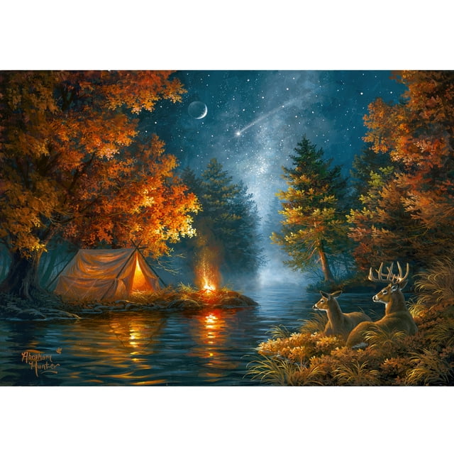 River's Edge 24x16'' LED Wall Art, Wishing Upon A Star, Fiber Optic