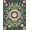 Sage Green Pink, Pattern 16, variant on Design&I 8'x10' Washable Area Rug Extra Large Skid-Resistant Low Profile Funky Occult Abstract Botanical Striped Border Surreal Aesthetic for Living Room, Family