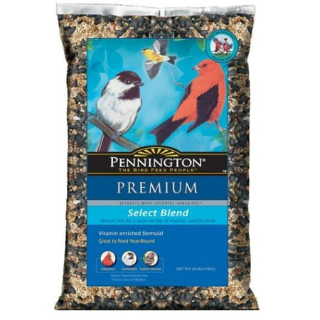 Pennington Select Wild Bird Feed and Seed, 20 lbs (Best Bird Seed For Blue Jays)