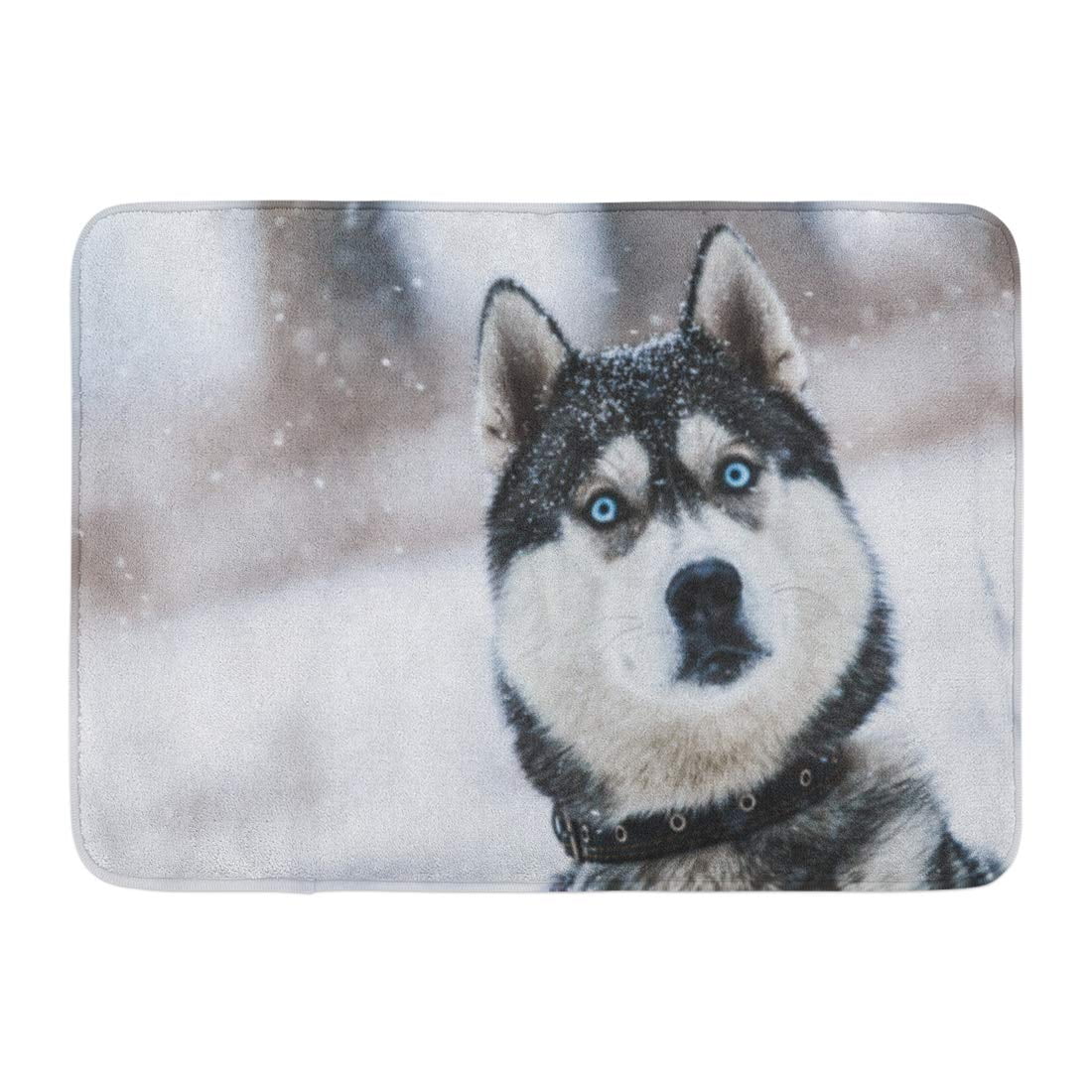 arctic mat for dogs