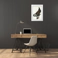 thumbnail image 3 of Audubon, John James 17x24 White Modern Wood Framed Museum Art Print Titled - White-headed Eagle, 3 of 4