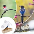 thumbnail image 2 of Clear Window Bird Feeder, Strong Suction Cups, Squirrel Resistant Transparent Design For Unobstructed Bird Watching, Easy Assembly On Glass Or Smooth Surfaces, Comfortable & Safe For Wild Birds, 2 of 2