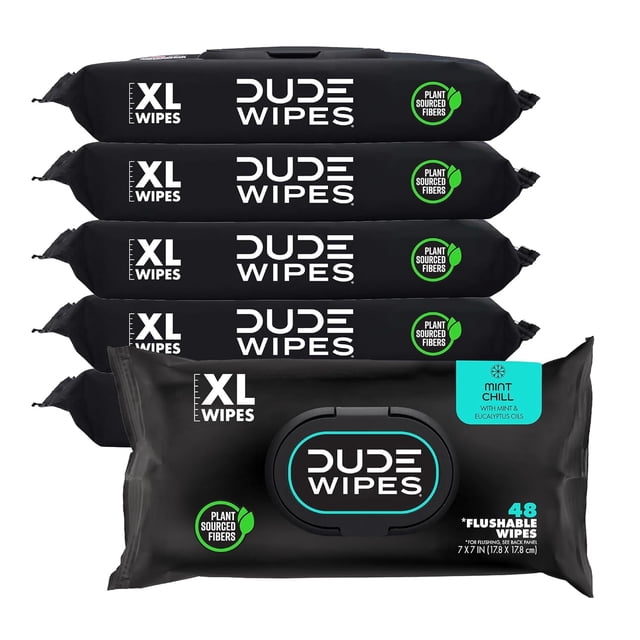 DUDE Wipes - Toallitas Desechables - Paquete de 6, 288 Toallitas - Toallitas Húmedas Extra Grandes con Aroma a Menta - Aceite de Eucalipto y Árbol de Té - Seguras para
