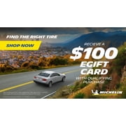 Michelin Energy Saver A/S All-Season P215/65R17 98T Tire Simolary simolary.com 14