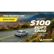 Michelin Energy Saver A/S All-Season 175/65R15 84H Tire