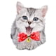 thumbnail image 2 of Nuevo Lazo Campana Pajarita Navidad Collar Para Mascotas Collar Para Gatos Gato Con Artículos Para Mascotas, 2 of 6