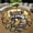 Thanksgiving Raccoon 1, variant on Round Area Rug, Greece Parthenon Non-Slip Floor Mat, Soft Washable Carpet for Living Room Bedroom Decor 24 Inch