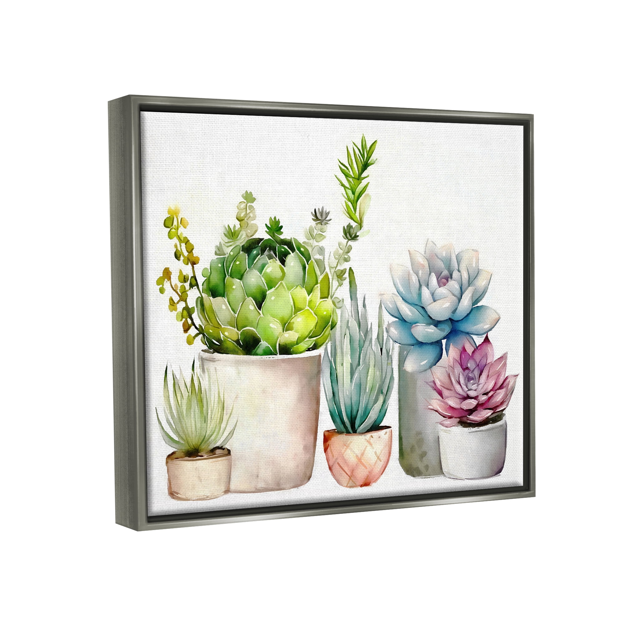 Stupell Industries Succulent Plants Floral Nature Botanical & Floral Painting Gray Floater Framed Art Print Wall Art