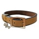 thumbnail image 1 of Urban Dog Collar Para Perro Liso 100% Piel Ch, G, Xg, 1 of 3